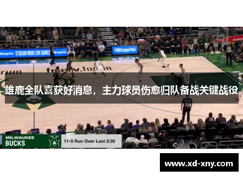 雄鹿全队喜获好消息，主力球员伤愈归队备战关键战役