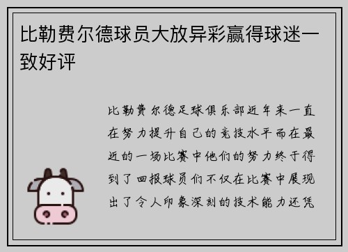 比勒费尔德球员大放异彩赢得球迷一致好评